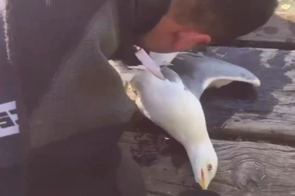 İstanbul İtfaiyesi Bakırköy