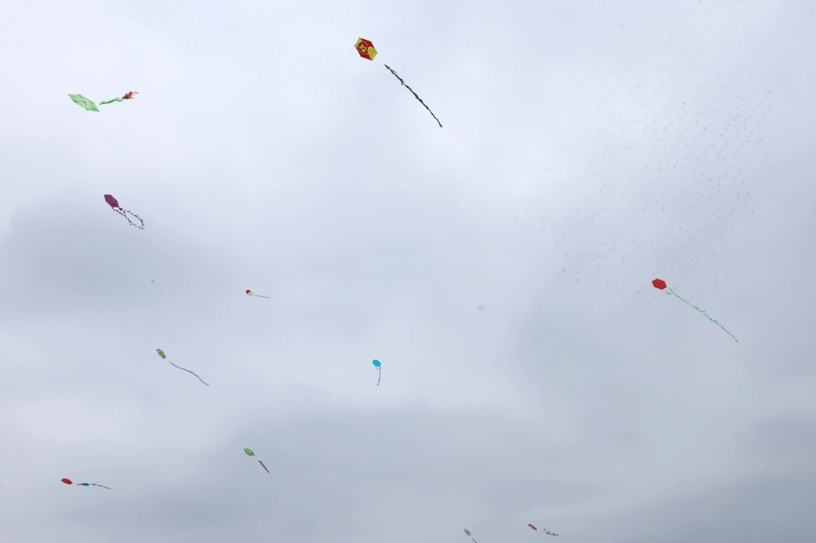 Bursa Nilüfer’de gökyüzü uçurtmalarla renklendi