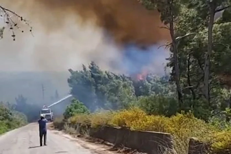 Suriye’nin kıyı kesimlerinde orman yangını: 30 hektardan fazla alan yandı