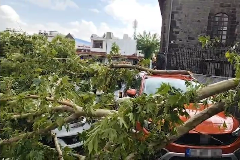 Diyarbakır’da sağanak ağacı devirdi: 3 araç zarar gördü