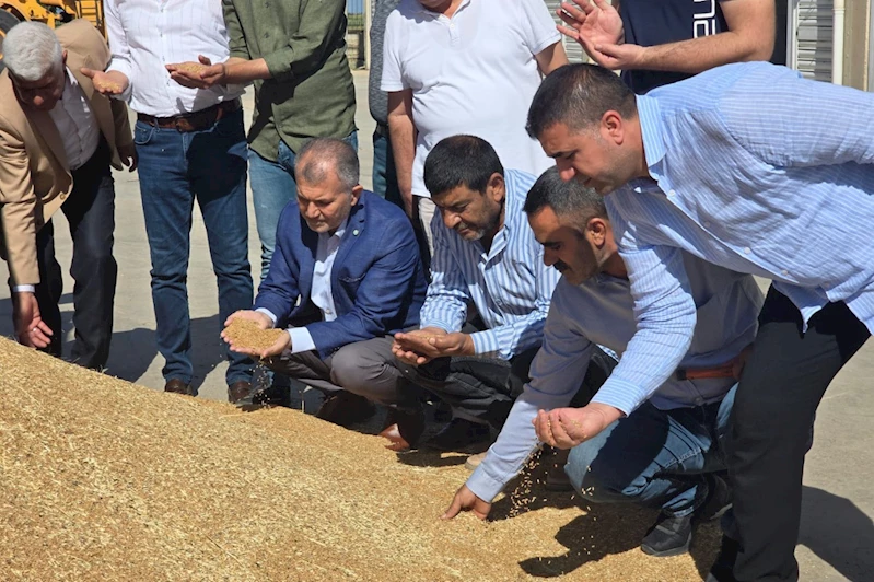 Öter: Girdi maliyetleri göz önüne alınarak buğday alım fiyatı en az 15-16 TL olmalı