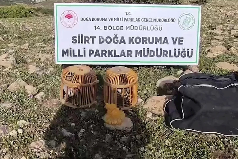 Kınalı keklik avlayan şahsa 63 bin lira ceza