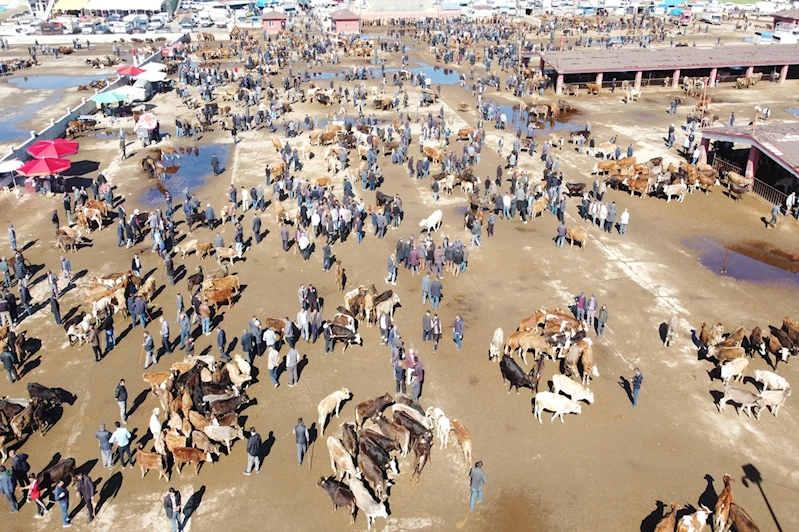 Kurban piyasası fiyat istikrarsızlığından sakin günler geçiriyor