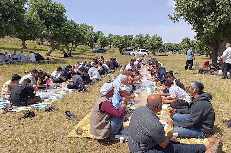 Viranşehir Peygamber Sevdalıları piknikte buluştu