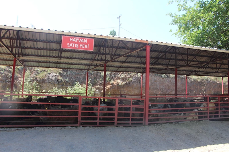 Kurban pazarlarında fiyatlar düşük olmasına rağmen talep azaldı
