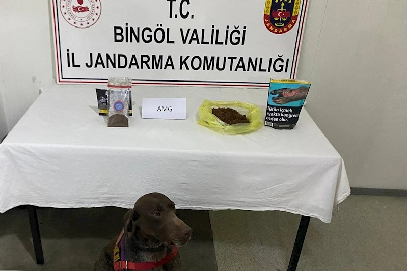 Bingöl