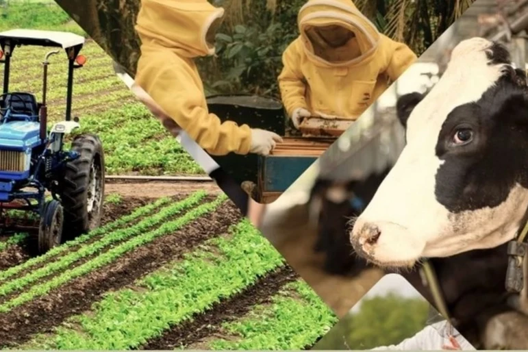 Çiftçiye 3,3 milyar TL