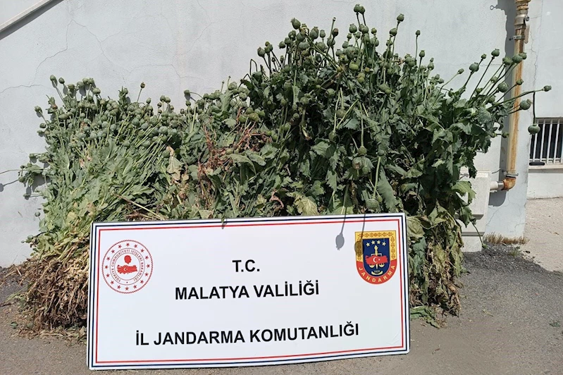 Malatya
