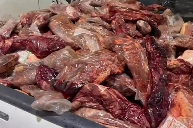 Şanlıurfa’da 1.5 ton kaçak ve bozulmuş et ele geçirildi