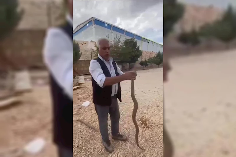 Tavuklarını yediğini iddia ettiği yılanı yakalayıp sosyal medyada paylaştı