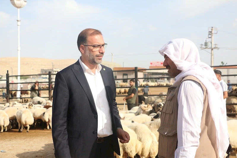 HÜDA PAR Şanlıurfa İl Başkanı Faruk Polat: Hayvancılık göz göre göre çöküyor...!