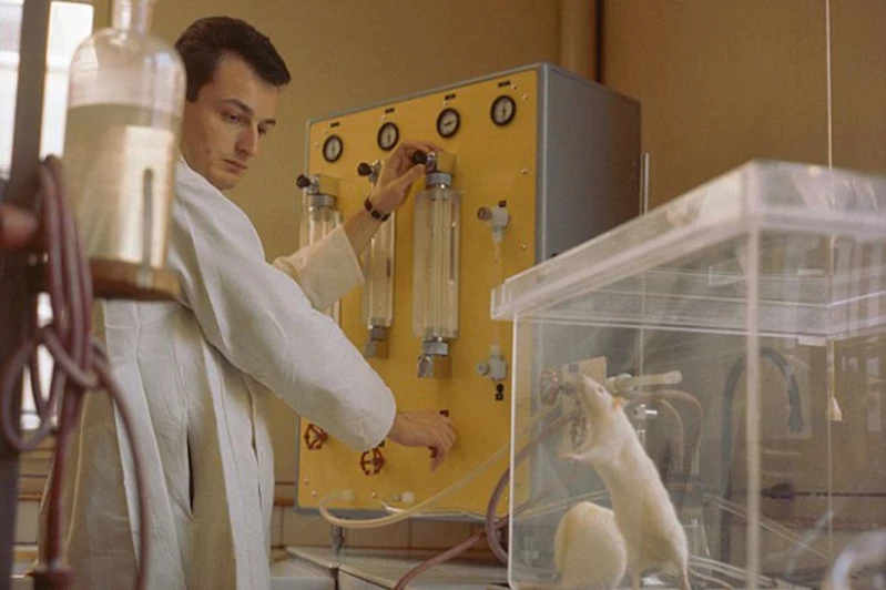 Donald Trump: Biden, fareleri trans yapmak için 8 milyon dolar harcadı