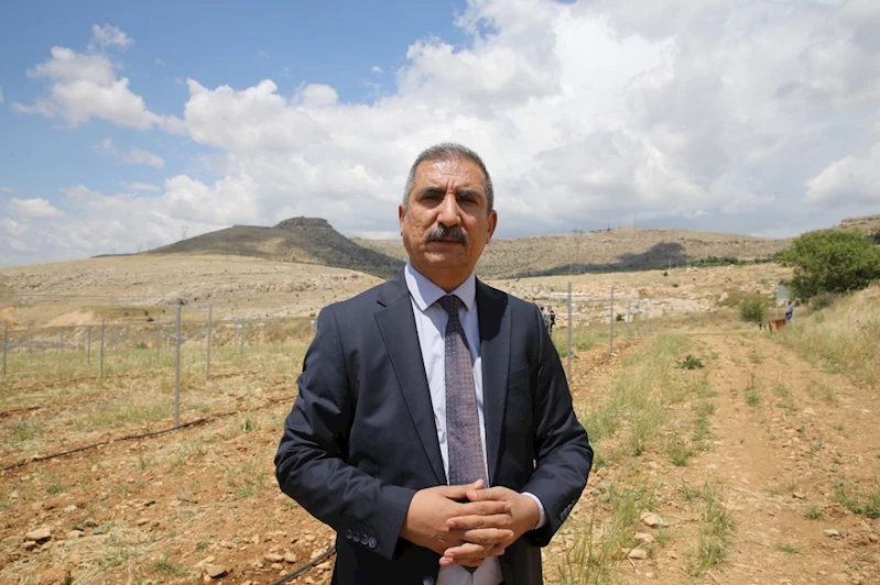 Prof. Dr. Doğan: Anız yakmakla sadece toprağı değil, geleceğimizi de yakıyoruz