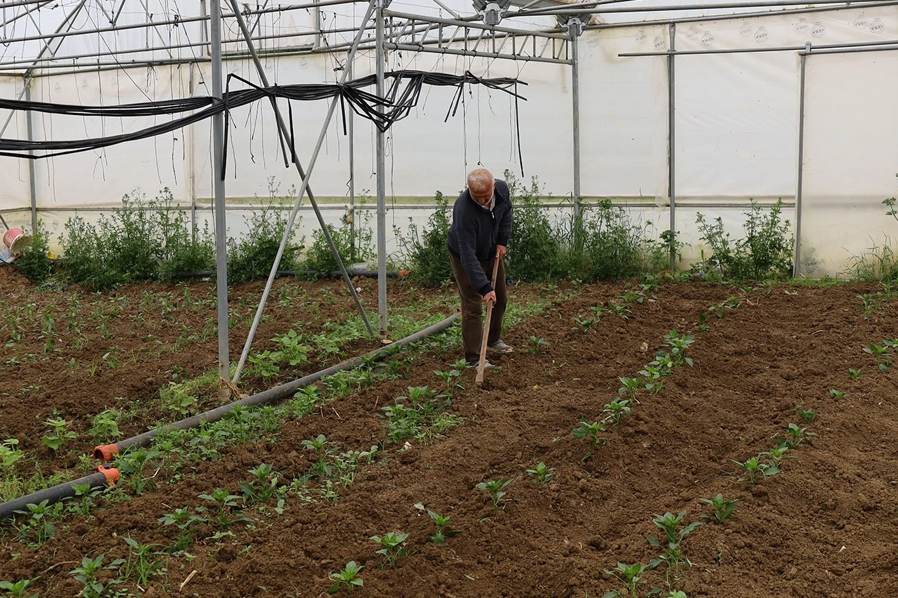 Kocaeli’nde üreticilere yüzde 50 hibeli modern sera desteği