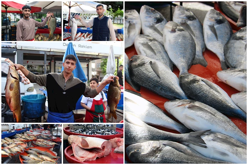 Sezon sonu geldi, balık tezgahlarda kaldı