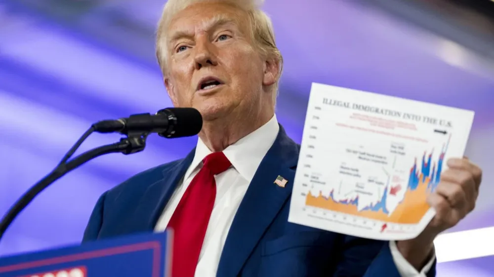 Kendi kendini sınır dışı et kampanyası