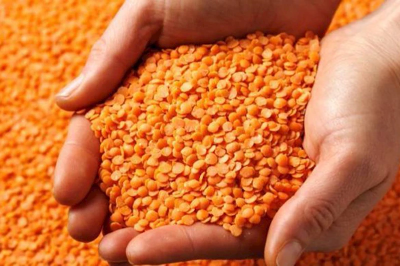 Batman, mercimek üretiminde Türkiye üçüncüsü oldu