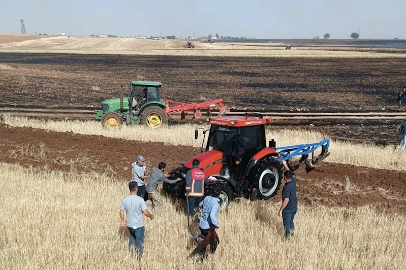 Mardin’de 200 dönüm ekili buğday kül oldu
