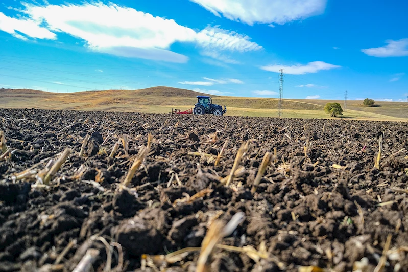 Tarım alanında 2025’te 60 yeni çeşit tescillendi