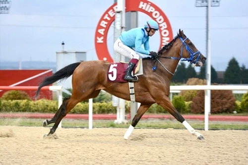 Leyla Atakan Koşusu’nu Prenses Sylvester kazandı
