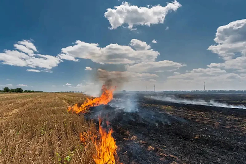 Bingöl Valiliği’nden anız yakma uyarısı