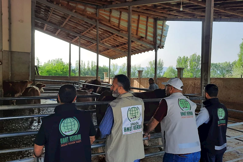 Umut Kervanı, Bingöl