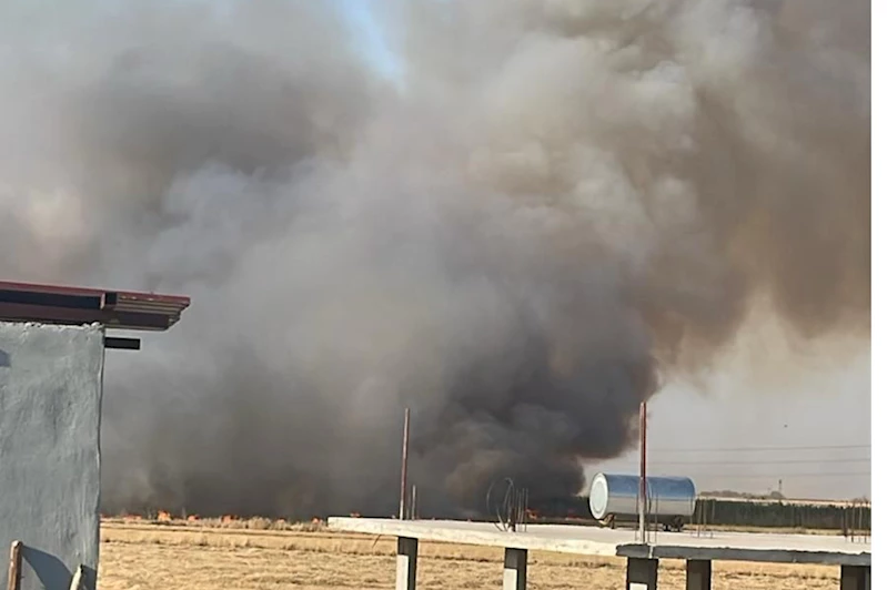 Şanlıurfa’da tarla yangını: 100 dönüm buğday kül oldu