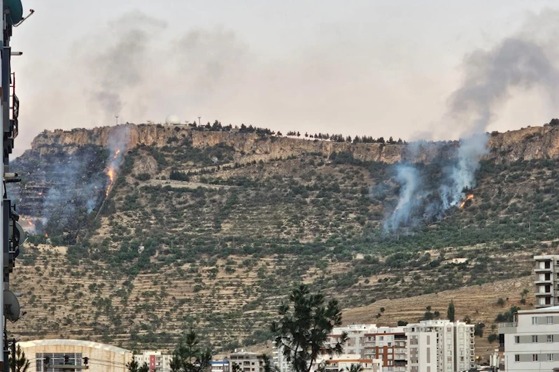Mardin Kalesi çevresinde orman yangını: İki ayrı noktada alevler yükseldi