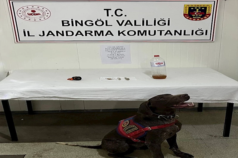 Bingöl’de 4 farklı noktada operasyon kenevir ve metamfetamin ele geçirildi