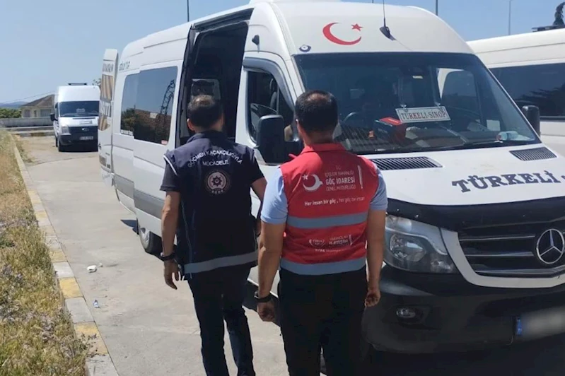 Göçmen kaçakçılığı operasyonu: 15 organizatör ve 446 düzensiz göçmen yakalandı