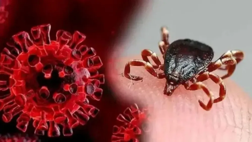 Yaz aylarında ölümcül tehlike: KKKA hastalığına karşı 10 kritik önlem