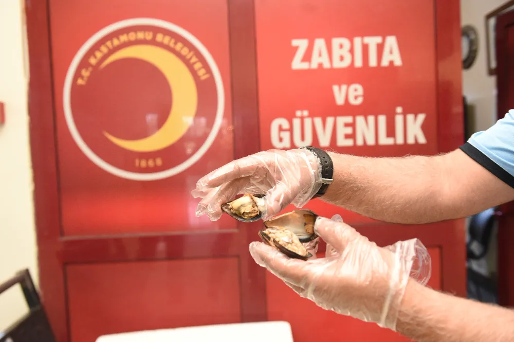 Kastamonu Otogarında 45 Kilo Bozulmuş Midye Ele Geçirildi