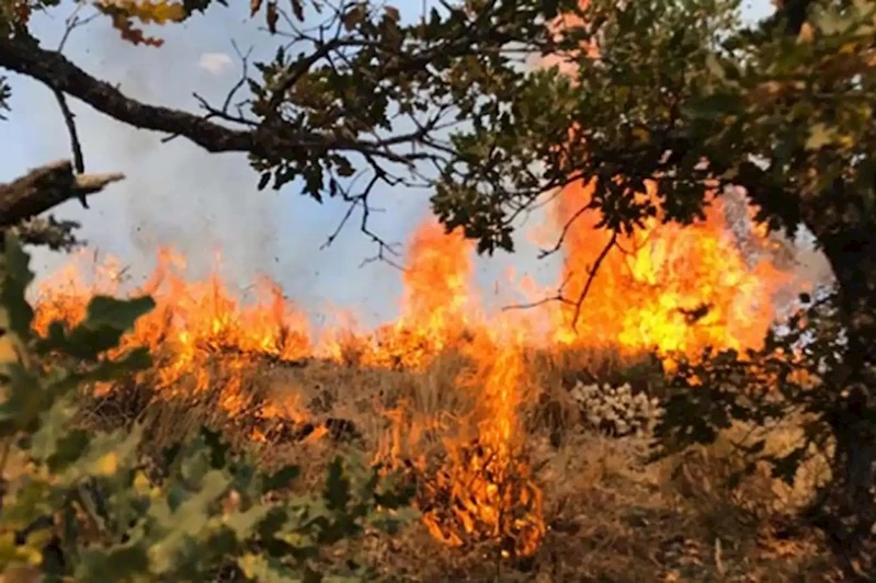 Adana’da ormanlık alanlara girişler yasaklandı