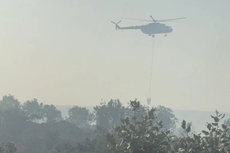Mardin’de orman yangınına havadan ve karadan müdahale