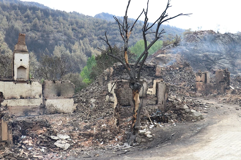 Orman yangınlarından etkilenenlere hane başına 162 bin TL