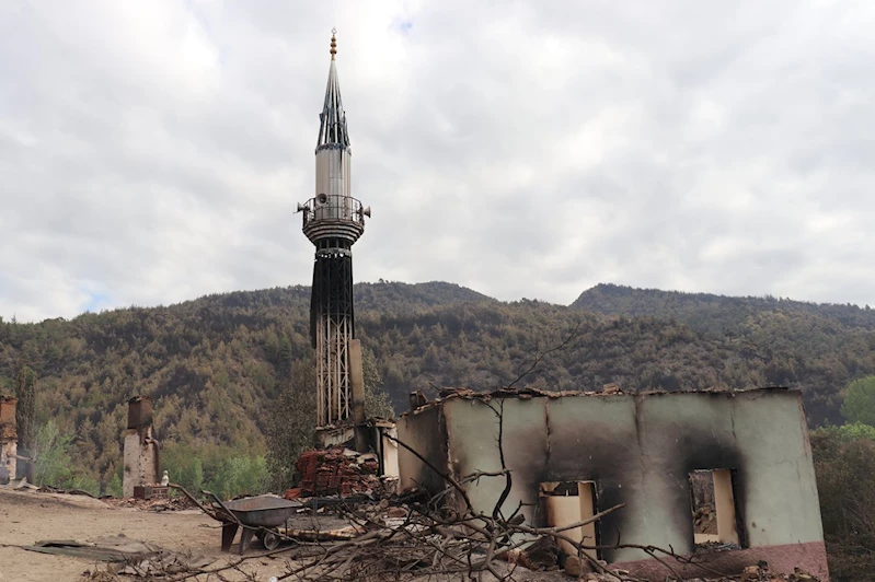 İLKHA, orman yangınlarında tamamen kullanılamaz hale gelen köyü görüntüledi
