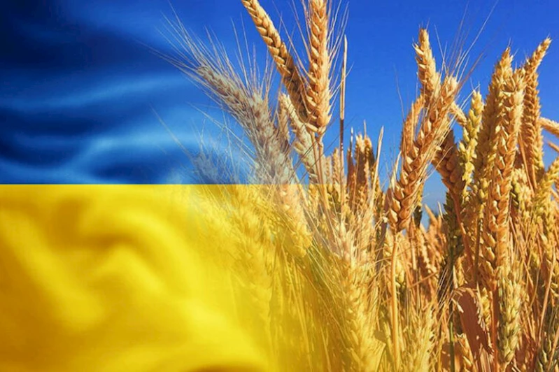AB, Ukrayna’dan tarım ürünleri ithalatına yeniden kota getirdi