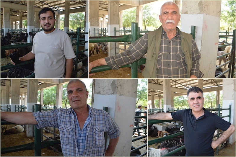 Kurbanlık satıcıları şikayetçi:  Kurbanlıklar elimizde kaldı, satışlar durma noktasına geldi