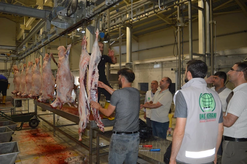 Umut Kervanı ve Yetimler Vakfı, Kurban Bayramı’nda yüzleri güldürdü