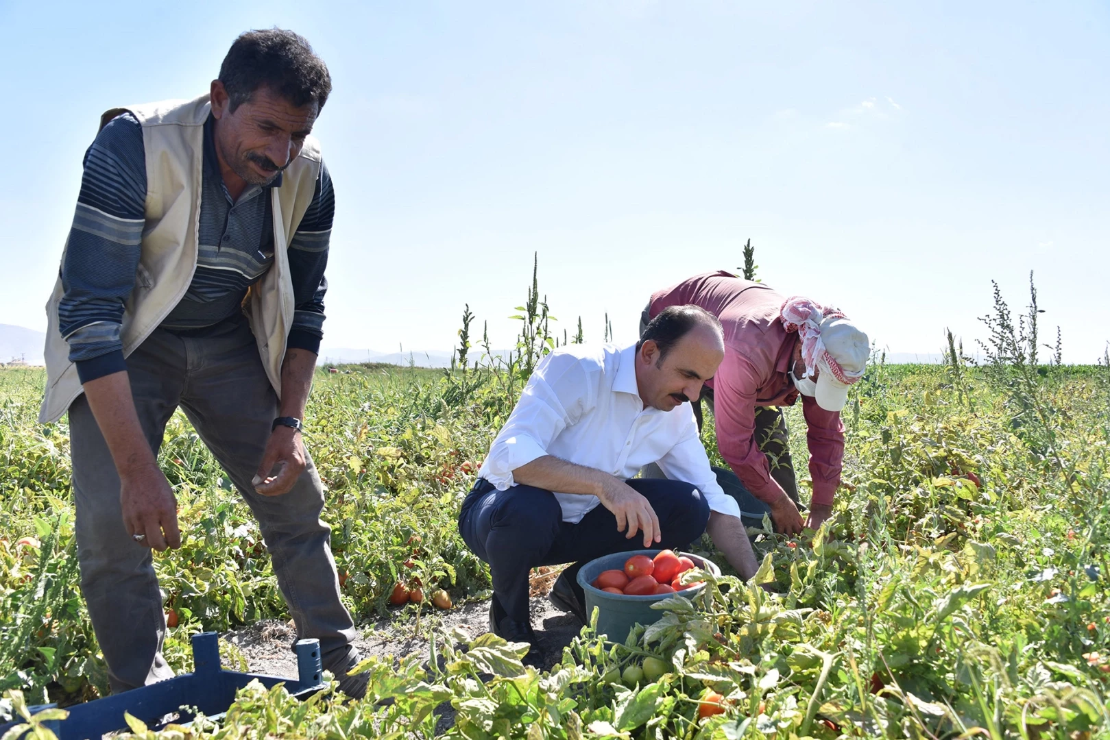 Konya’da 2026 için fidan ve fide desteği başvuruları başladı