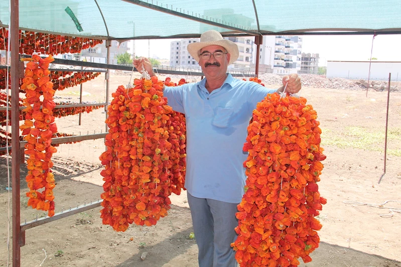 Kurutmalık sebzede sezon başladı: Batmanlı üretici devlet desteği bekliyor