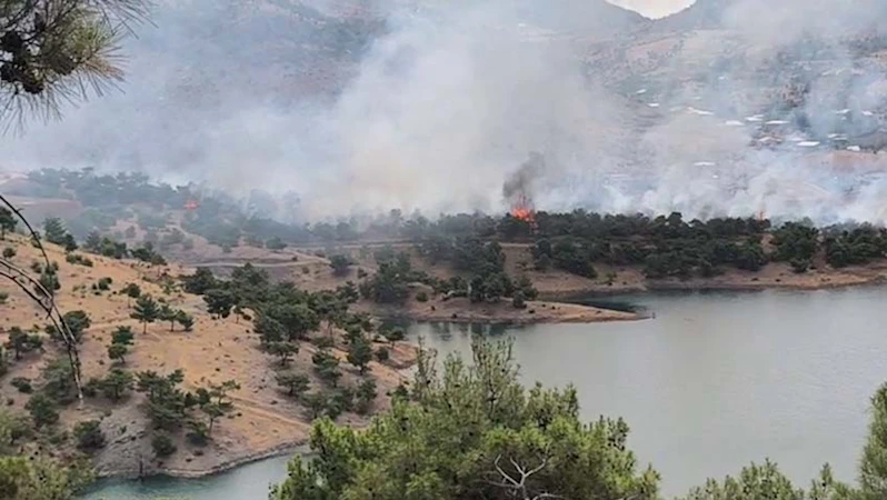 Adıyaman’da orman alanda korkutan yangın  - Videolu Haber