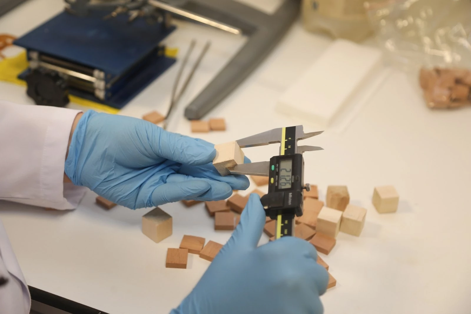 BTÜ’den yerli odun türlerini mobilya ve yapı sektörüne kazandıracak proje