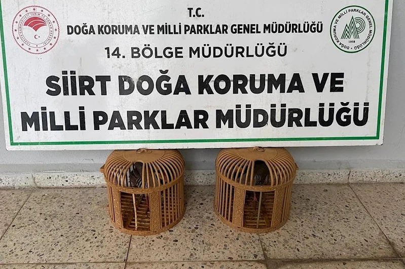 Siirt’te kınalı keklik satın alan kişiye 19 bin 977 TL ceza kesildi