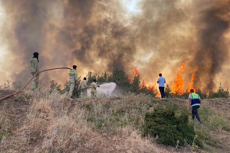 Orman yangınları için kritik uyarı: 19-25 Temmuz arası yüksek riskli
