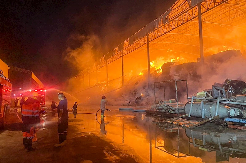 Tayland’da kağıt fabrikasında yangın: 8 ölü, 26 yaralı