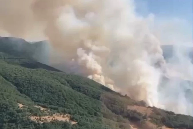İzmir Bergama’daki yangın kontrol altında... Bilecik ve Sakarya’da müdahale sürüyor