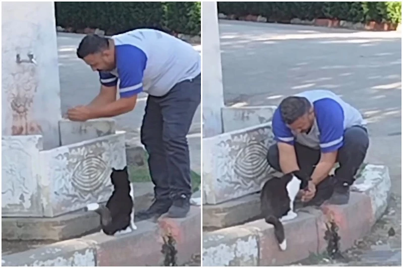 Bursa’da merhamet dolu anlar: Susayan kediye eliyle su içirdi