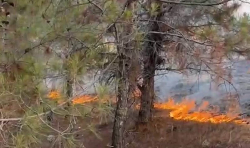 Besni’de ormanlık alanda korkutan yangın  - Videolu Haber