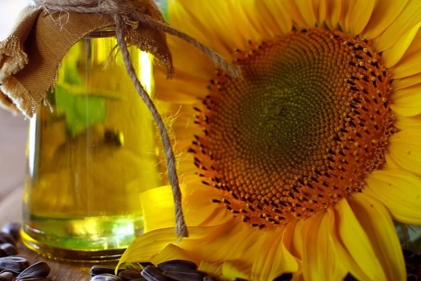 Yağlık ayçiçeği tohumu ve ham yağ ithalatına kontenjan açıldı